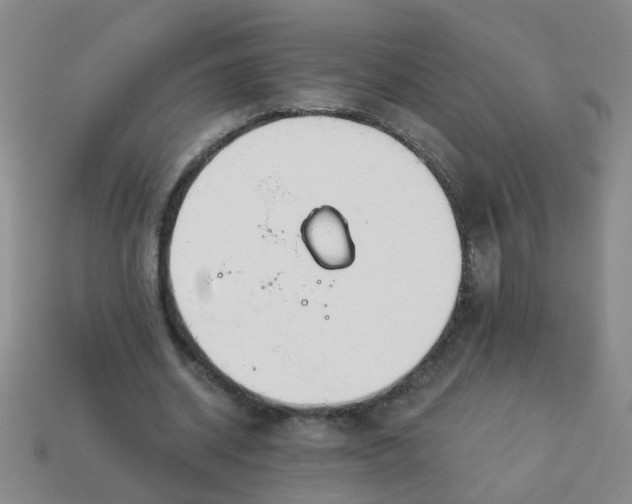 X0000114130534200910221506