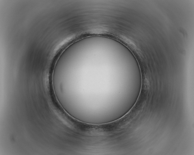 X0000114130535200910221506