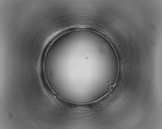 X0000114130536200910221506