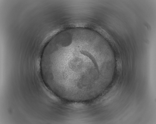 X0000114130537200910221506