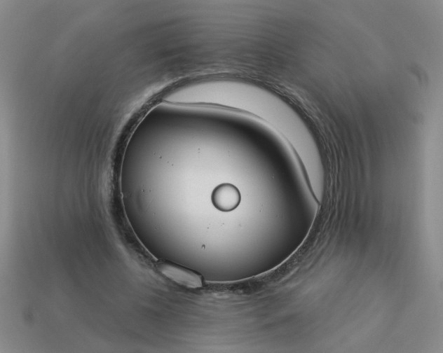 X0000114130540200910221506