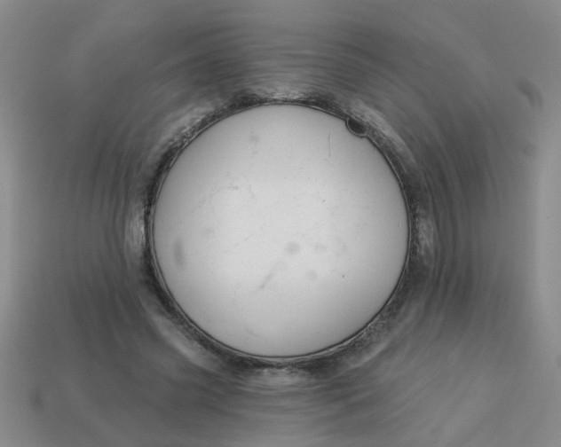 X0000114130541200910221506