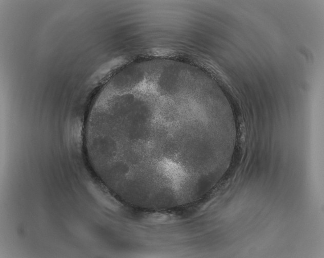 X0000114130542200910221506