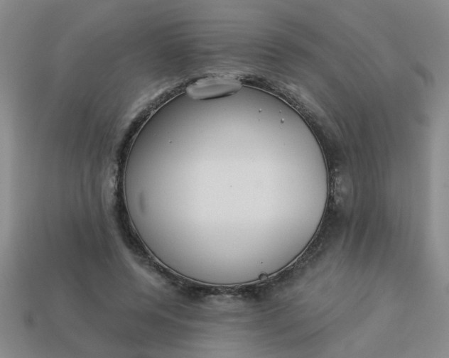 X0000114130544200910221506