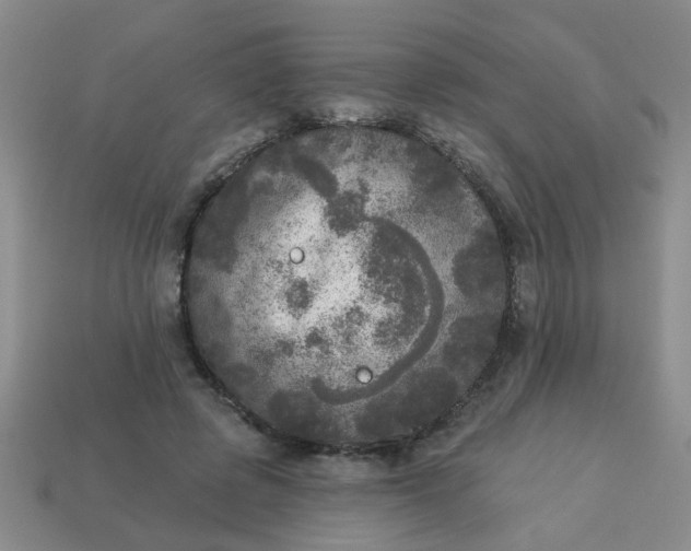 X0000114130545200910221506