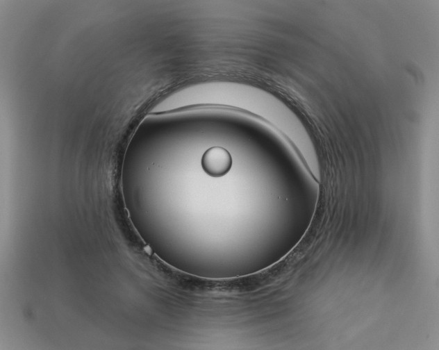 X0000114130546200910221506