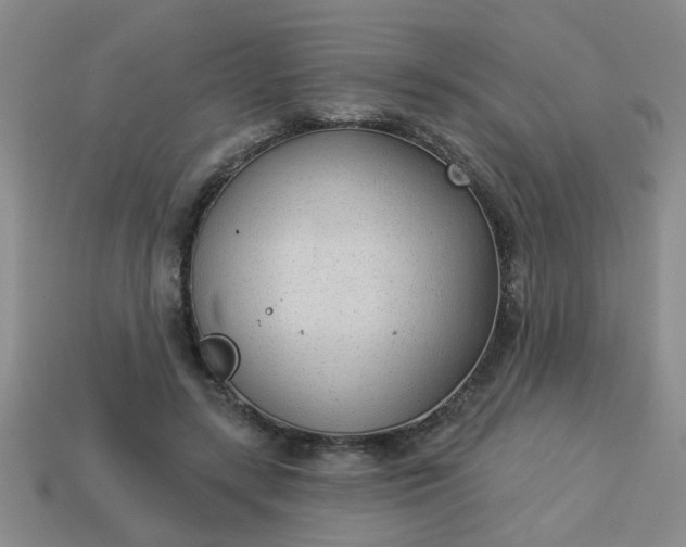 X0000114130547200910221506