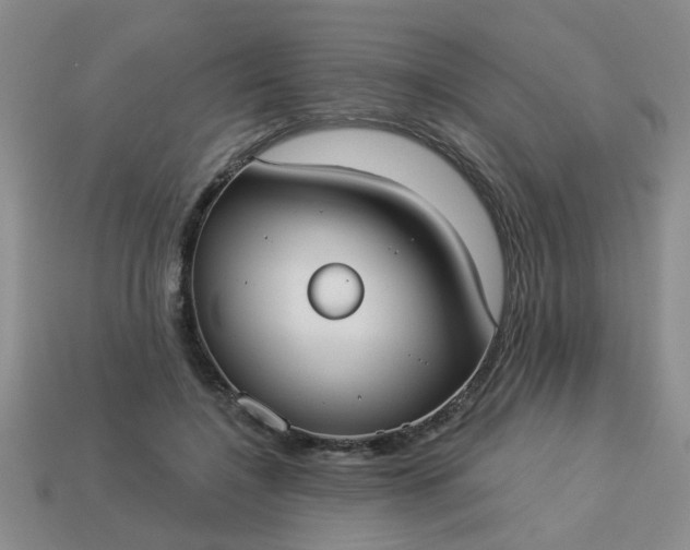 X0000114130548200910221506