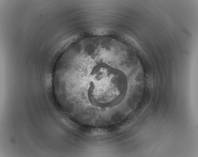 X0000114130549200910221506