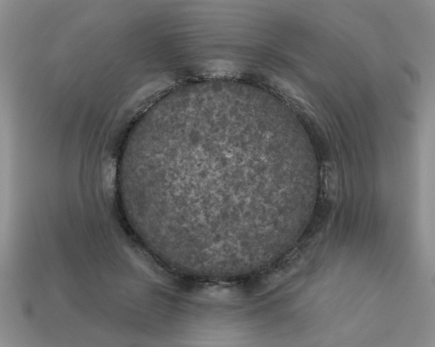 X0000114130550200910221506