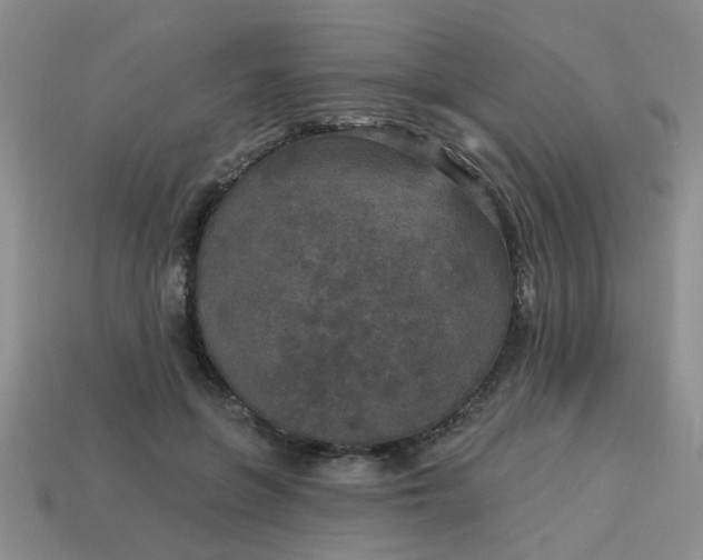 X0000114130551200910221506