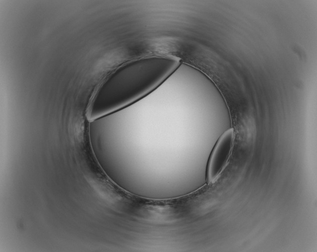 X0000114130552200910221506