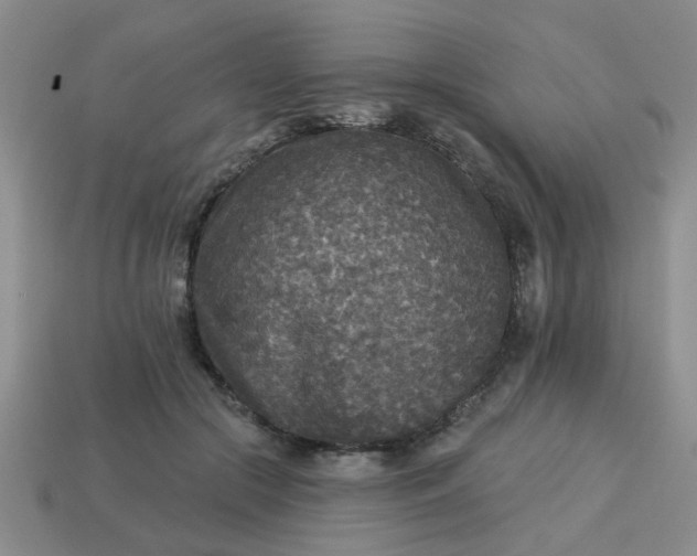 X0000114130553200910221506