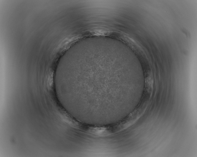 X0000114130554200910221506