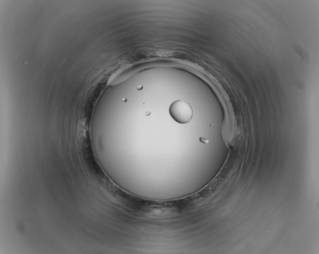 X0000114130555200910221506