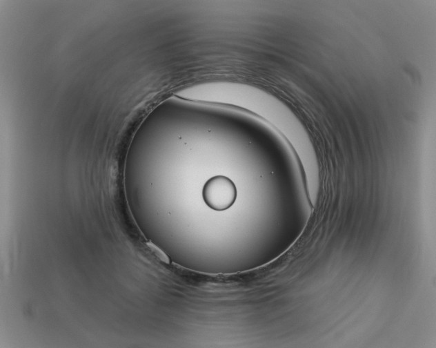 X0000114130556200910221506