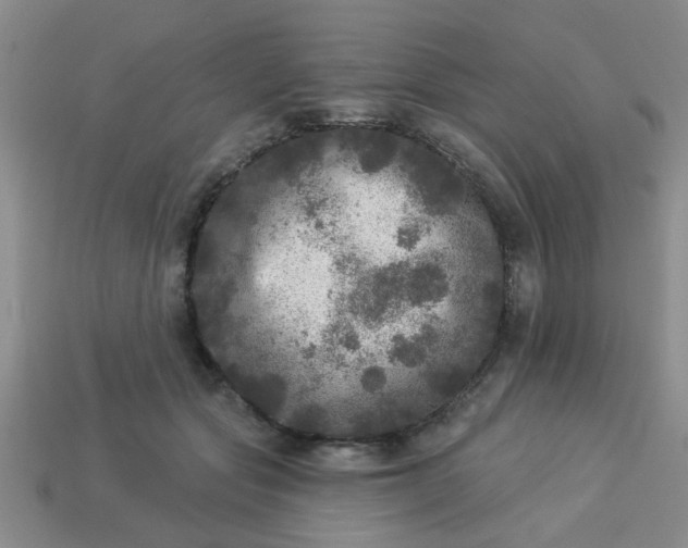 X0000114130557200910221506