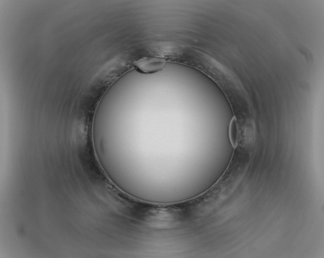 X0000114130558200910221506