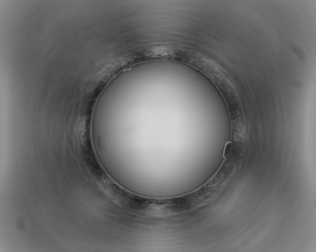 X0000114130560200910221507