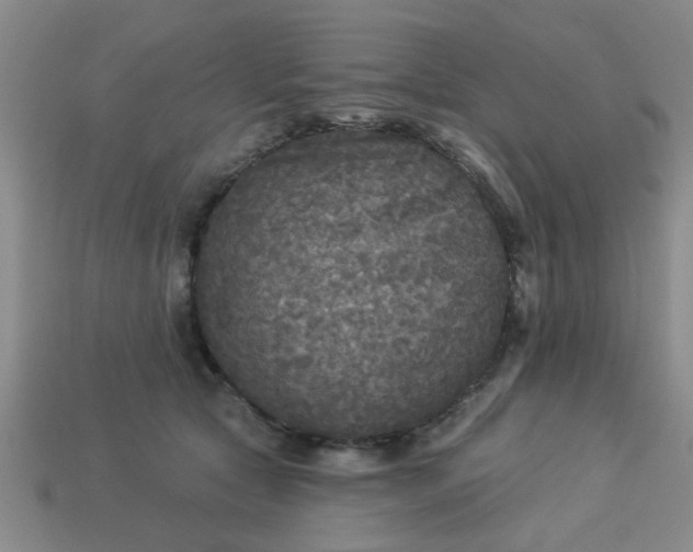 X0000114130561200910221507