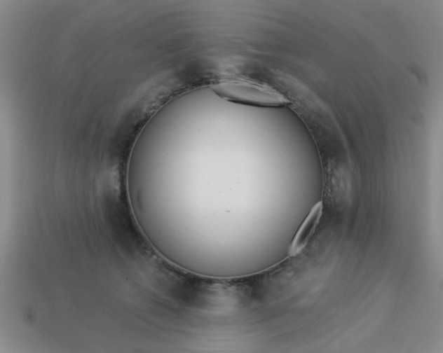 X0000114130562200910221507