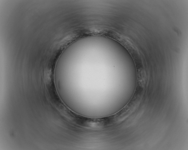 X0000114130563200910221507