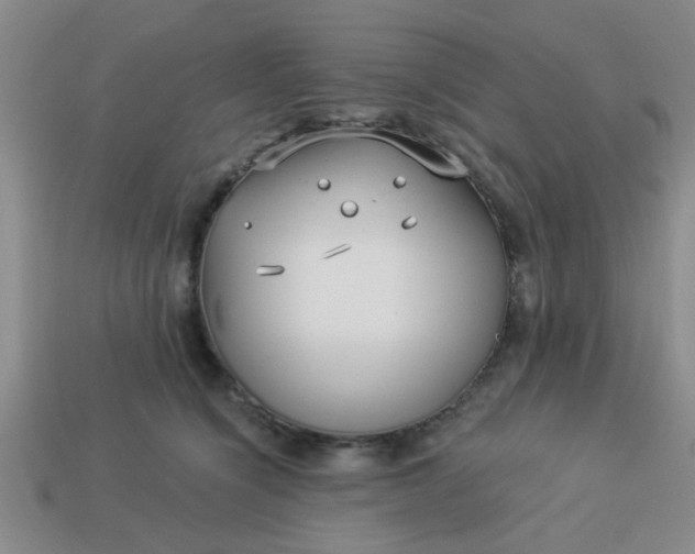 X0000114130564200910221507