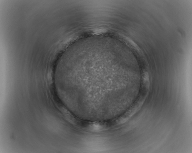 X0000114130565200910221507