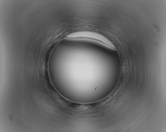 X0000114130566200910221507