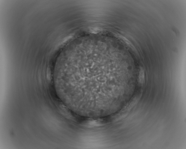 X0000114130569200910221507