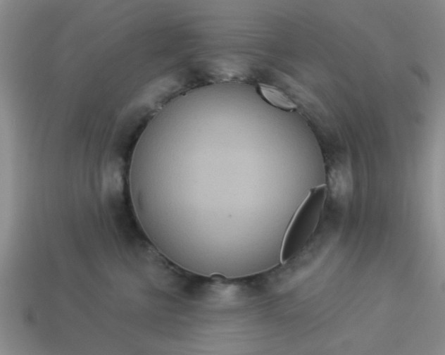 X0000114130570200910221507