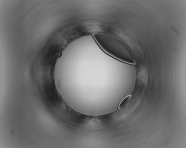 X0000114130572200910221507