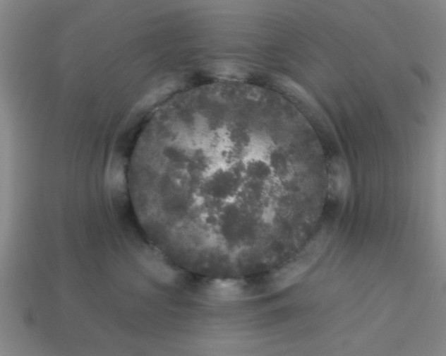 X0000114130573200910221507