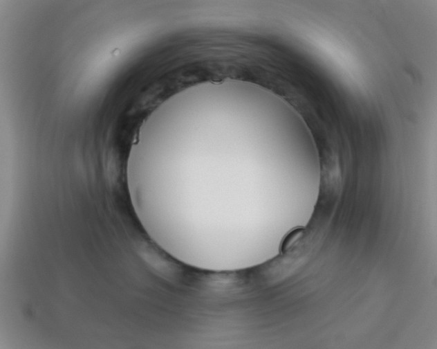 X0000114130574200910221507