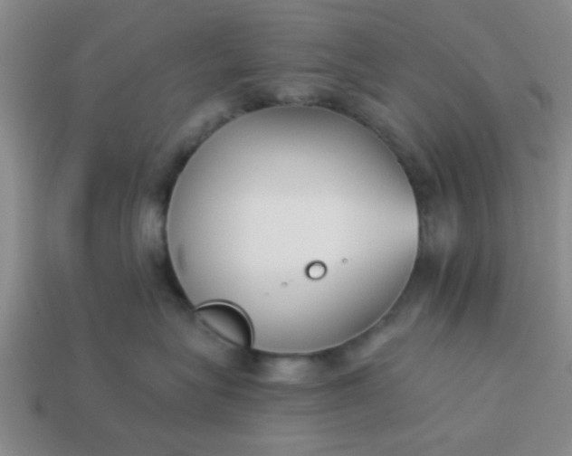 X0000114130575200910221507