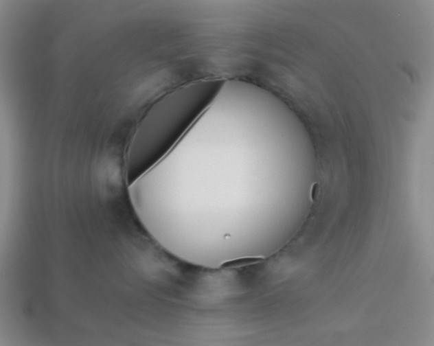 X0000114130576200910221507