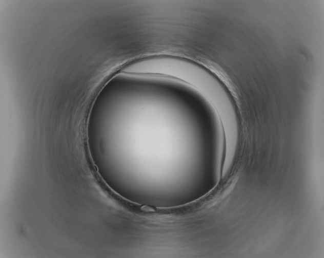 X0000114130577200910221506