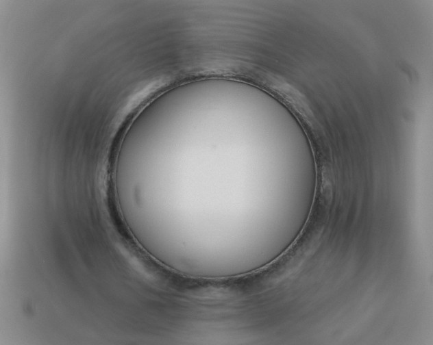 X0000114130578200910221506