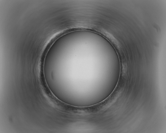 X0000114130580200910221506