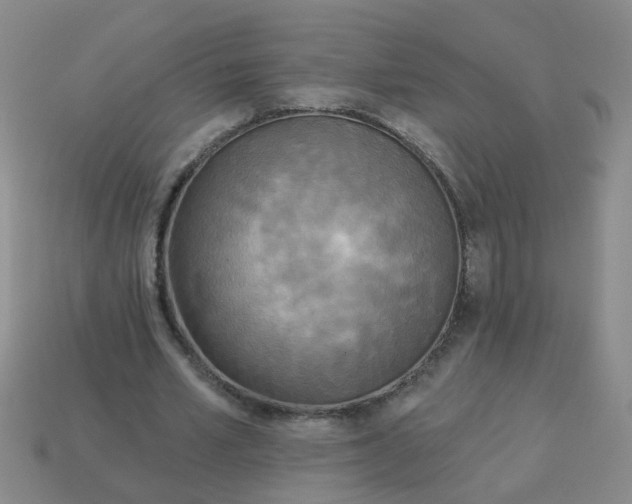 X0000114130581200910221506