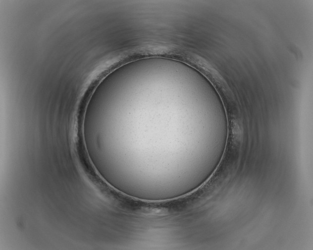 X0000114130582200910221506