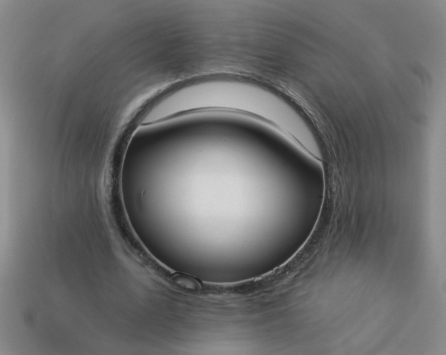 X0000114130583200910221506