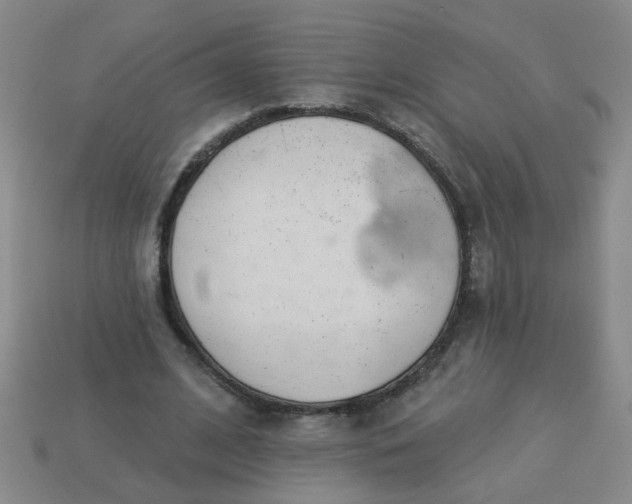 X0000114130584200910221506