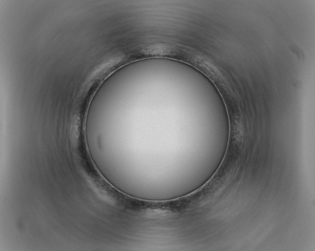 X0000114130586200910221506