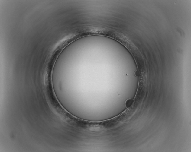 X0000114130587200910221506