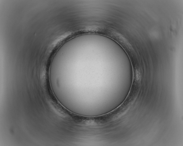 X0000114130588200910221506