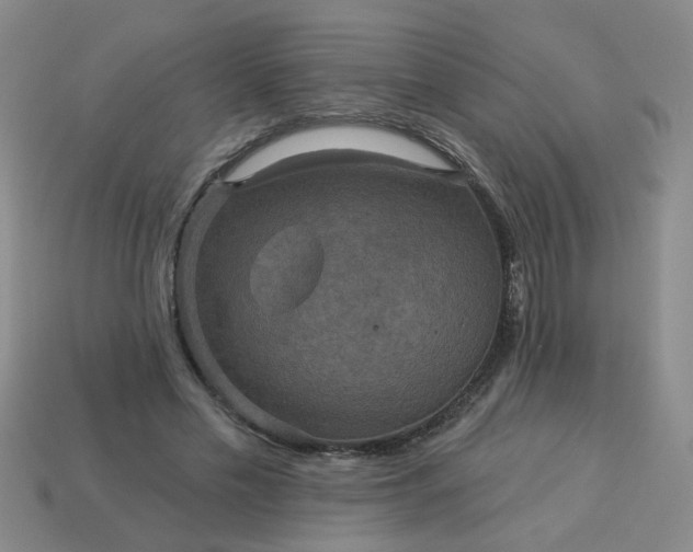 X0000114130589200910221506