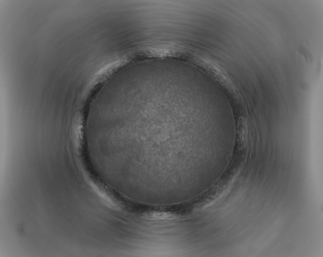 X0000114130590200910221506