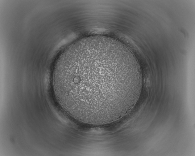 X0000114130591200910221506