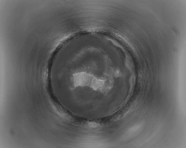 X0000114130592200910221506